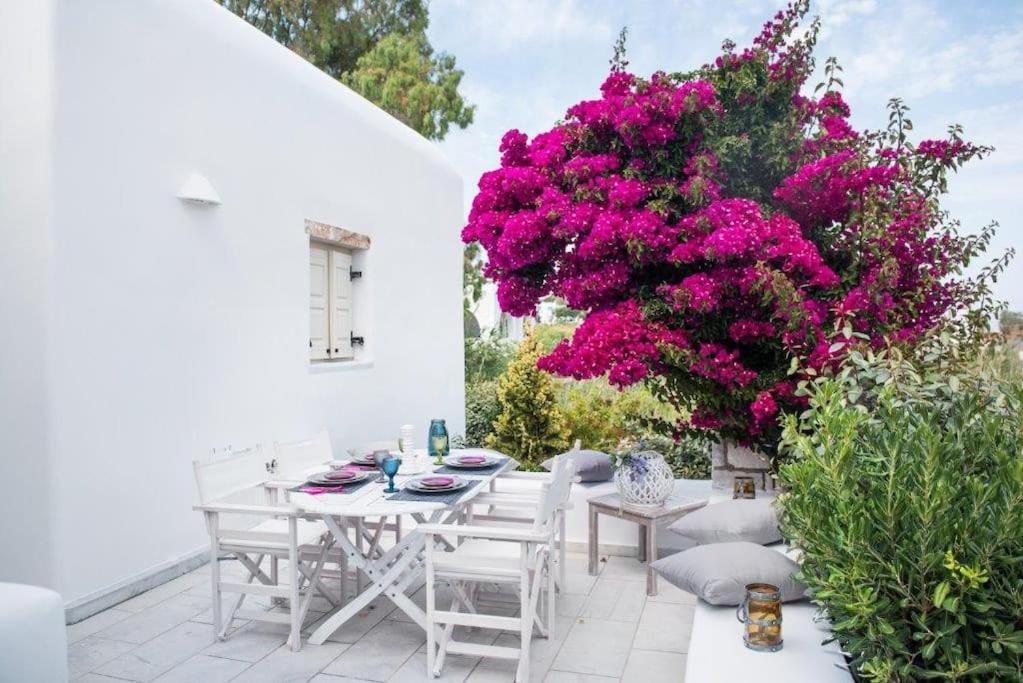 Villa Nausithoe 1 Paros Logaras Exterior photo